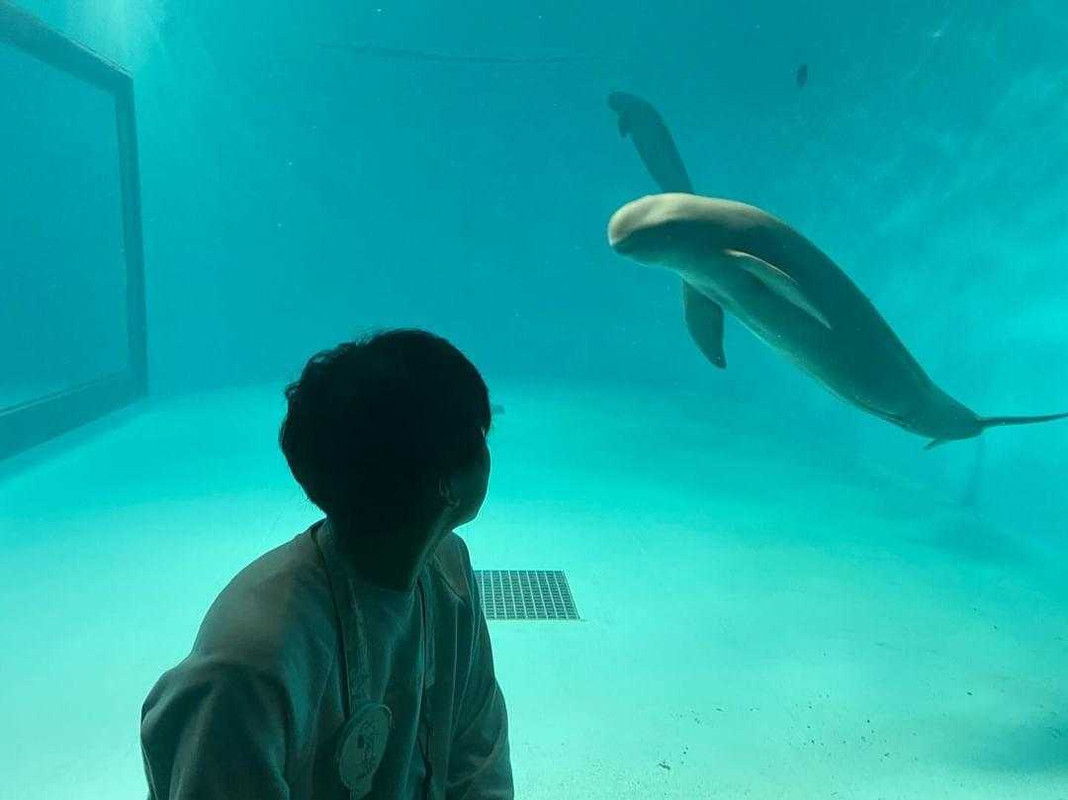 191024yuuさんの写真 / 1