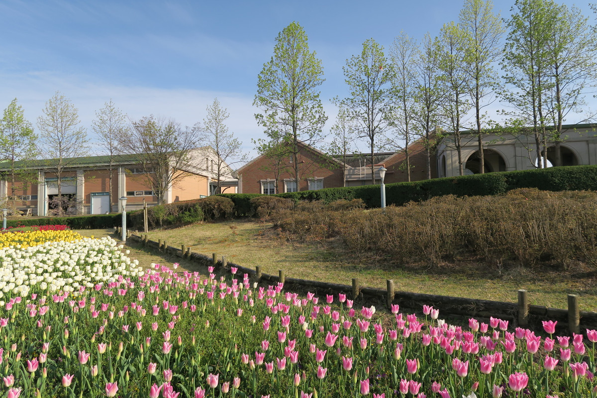 道の駅 神戸フルーツ・フラワーパーク大沢の風景