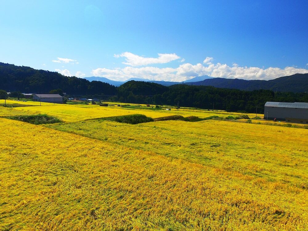 マウンテン ビュー