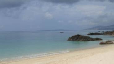 ビーチ / オーシャン ビュー / 28