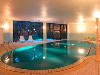 豪華な温泉やプールで癒やされよう3633248