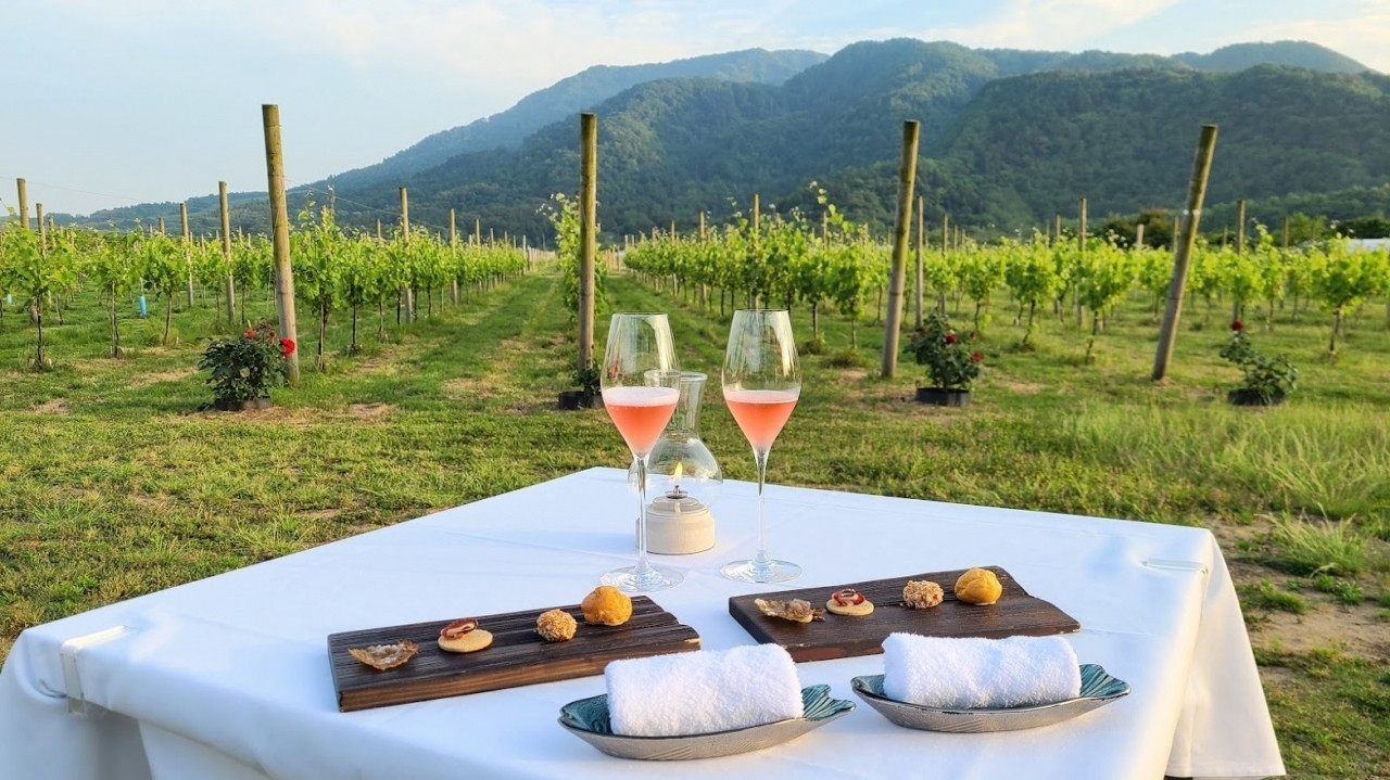 Winerystay TRAVIGNE（ワイナリーステイトラヴィーニュ）／新潟3959508