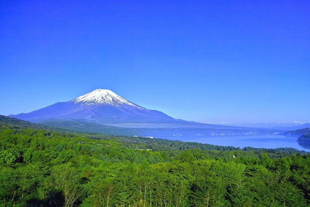子供向けアクティビティ
