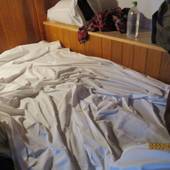 グリーンゲストハウス(鹿児島県 ゲストハウス・ホステル・ドミトリー) / 2