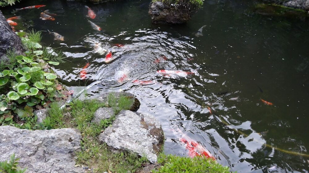 中庭
