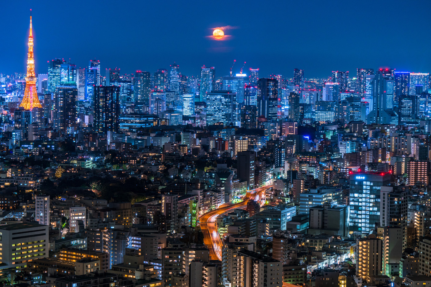 月光りの東京夜景