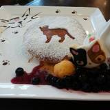 キャットベース（キャットベース）