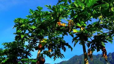 施設からの眺望 / 15