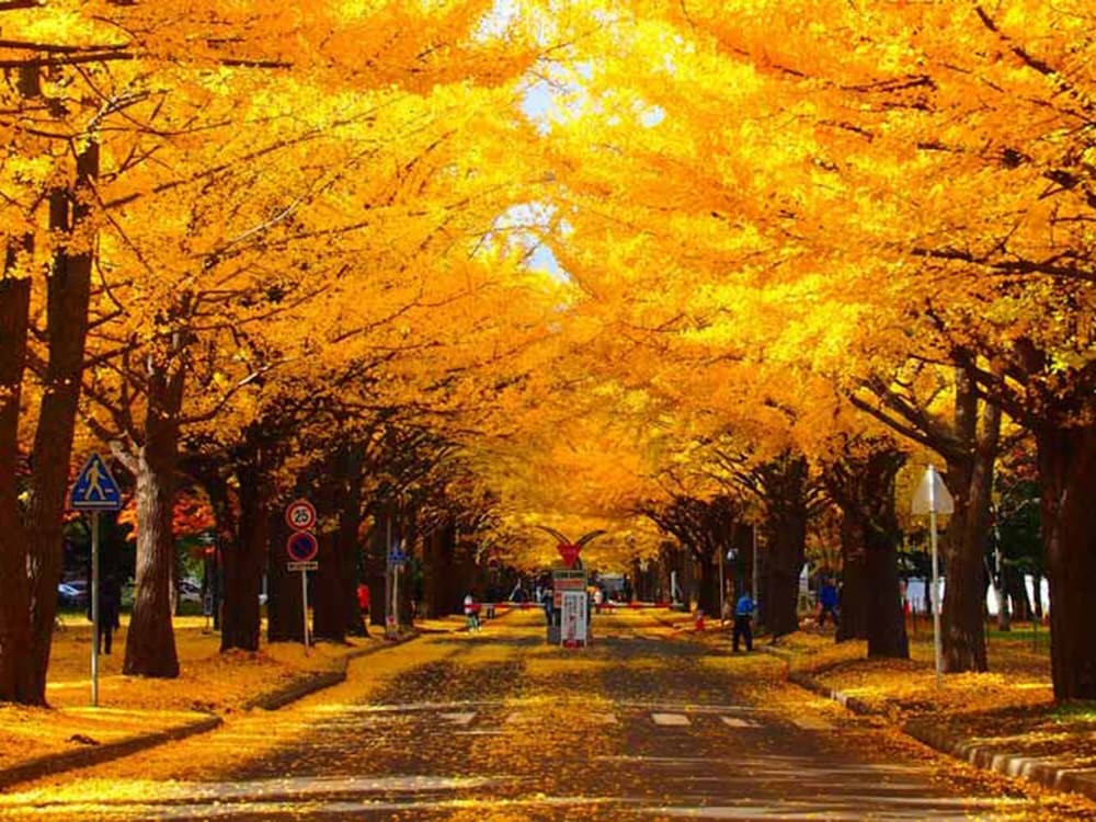 施設からの眺望