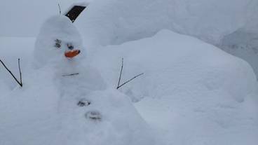 スノーシュー / 10