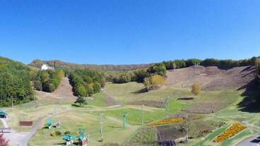 マウンテン ビュー / 29