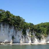 バリュー ザ・ホテル東松島 矢本（宮城県 ビジネスホテル） / 5