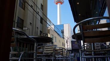 施設の敷地 / 9