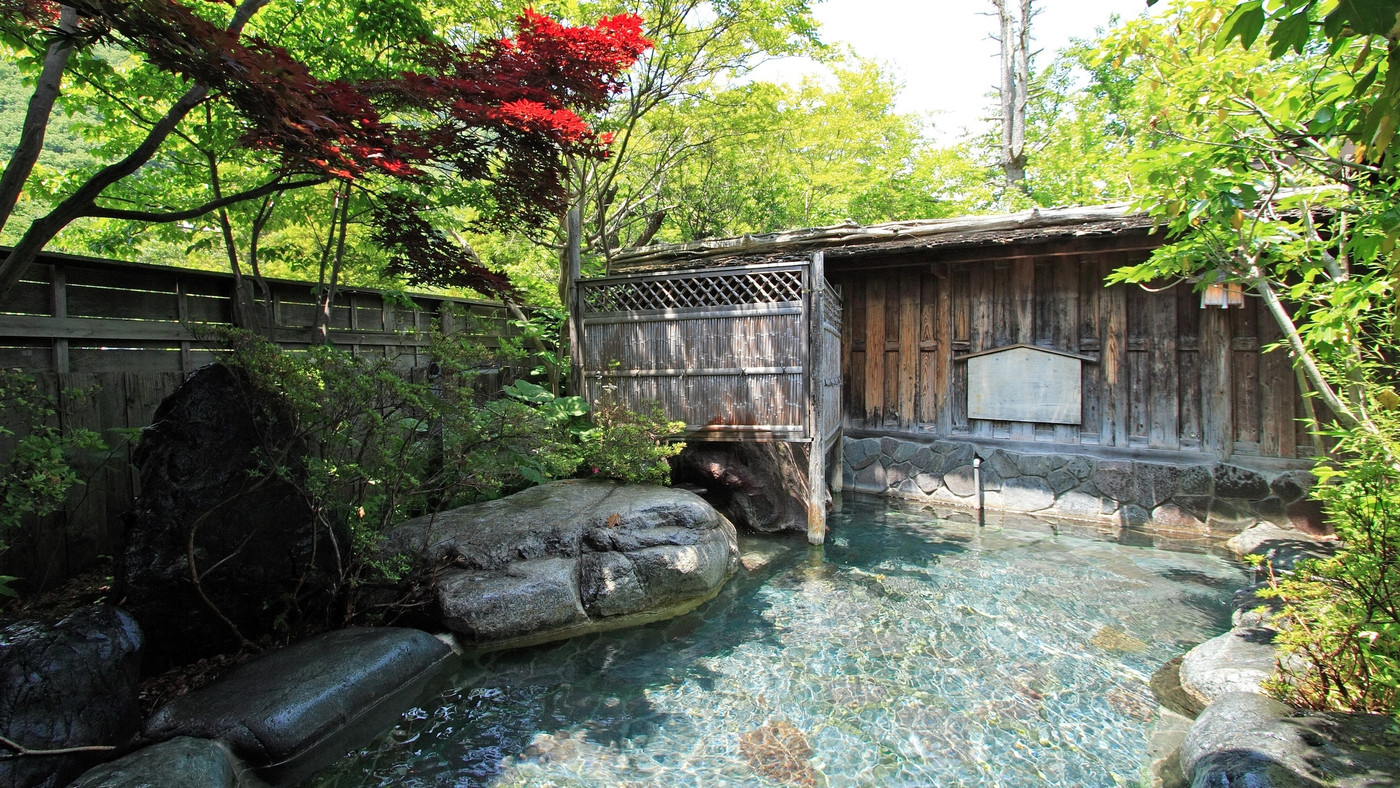 尾瀬かまた宿温泉 水芭蕉乃湯 梅田屋旅館／群馬県片品村4050241