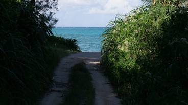 施設からの眺望 / 21