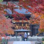 秋の京都でほっこり♡「南禅寺」の紅葉とオススメ湯豆腐店をぶらり旅