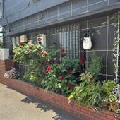 ビジネス旅館 美松荘(大阪府 旅館) / 3