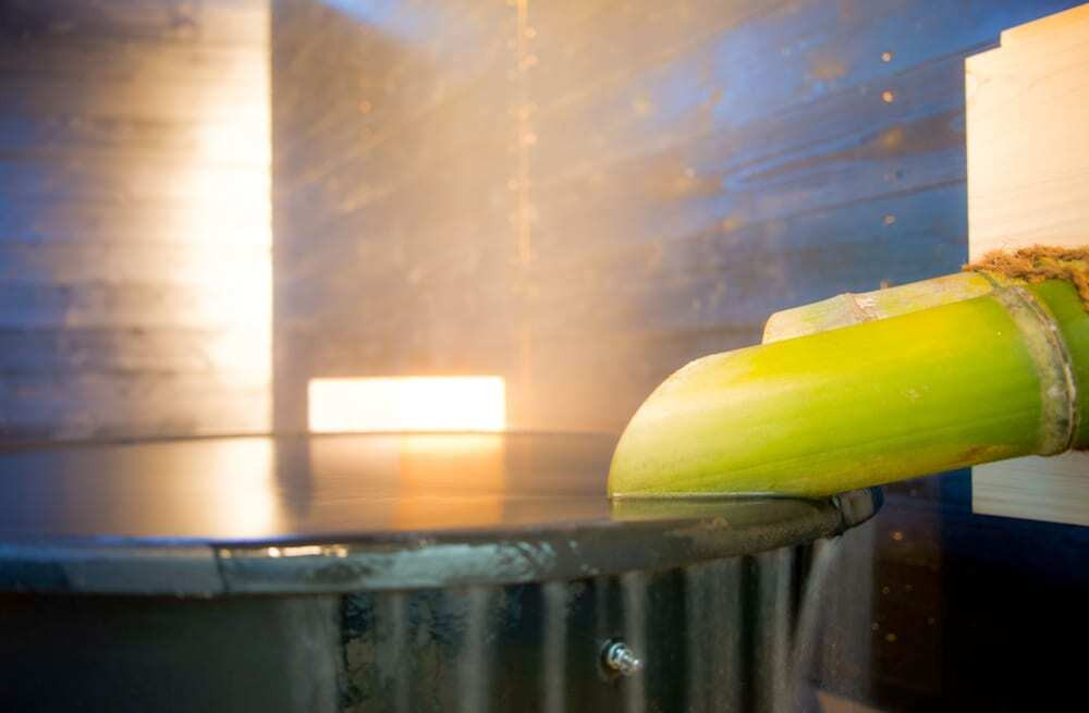 メイン イメージ