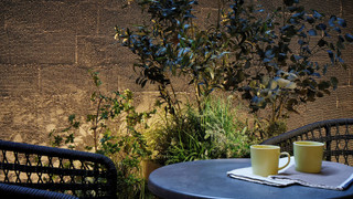 スーペリア 1ベッドルーム 3ベッド (テラス付き) 禁煙