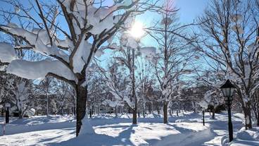 施設の敷地 / 34