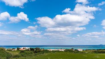 施設の敷地 / 13