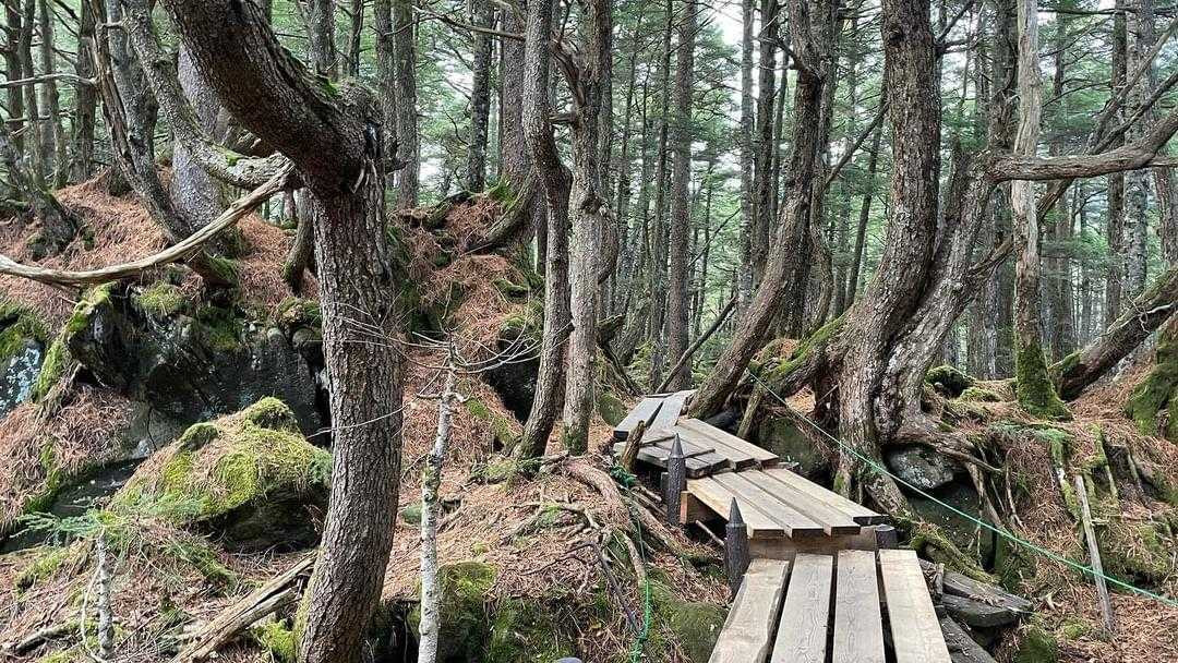 i.am.izumiさんの写真 / 3