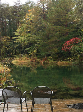 公園を散策して、のんびり森林浴を3349837