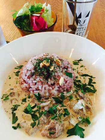 「ノッタカフェ」料理 976259 ビーフストロガノフ
