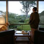 愛犬との旅なら伊豆旅行！ペットと泊まれる宿＆観光スポット