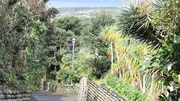 ランド ビュー / 8