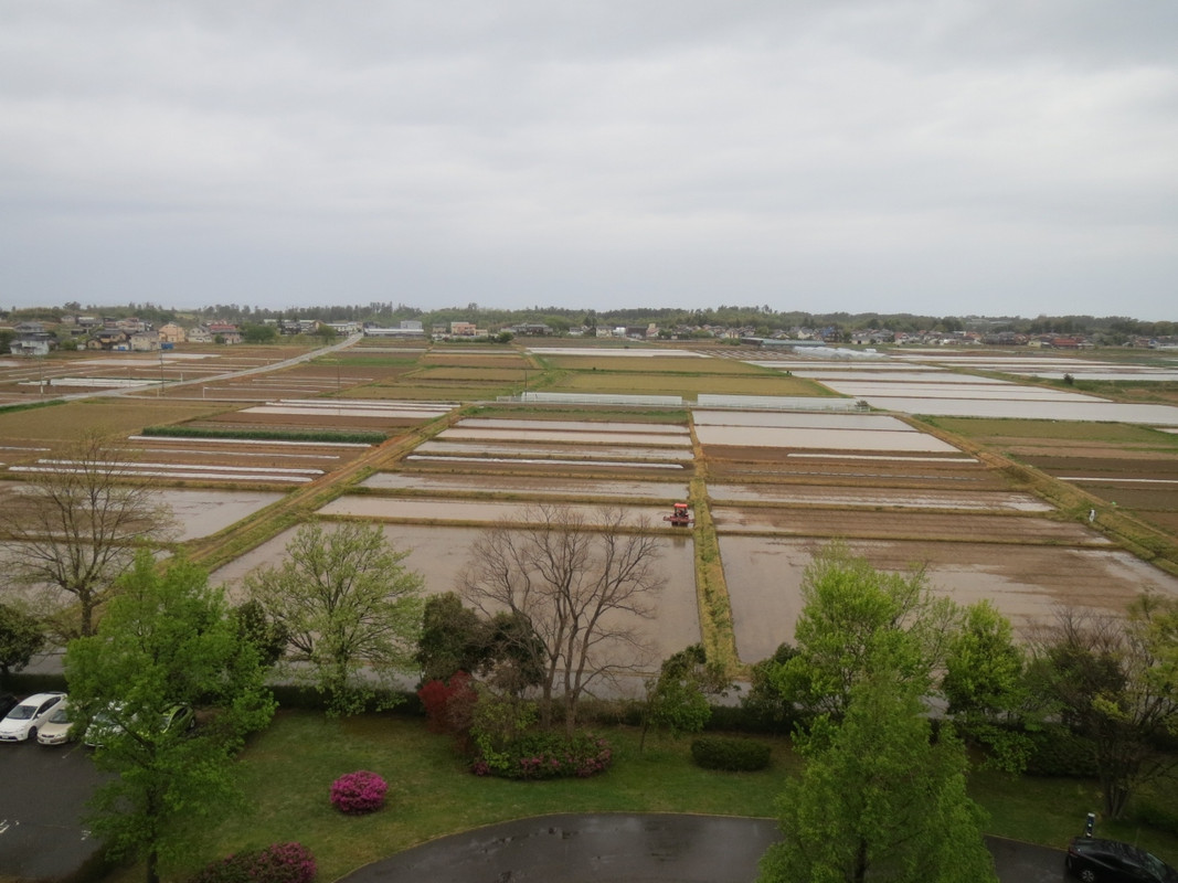 部屋からの眺め　田園風景が広がる