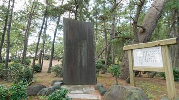 ランド ビュー / 29