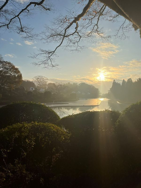 nozobook2022さんの写真 / 1