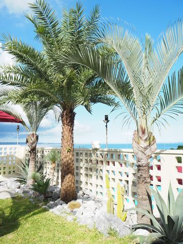 michi_1017さんの写真 / 1