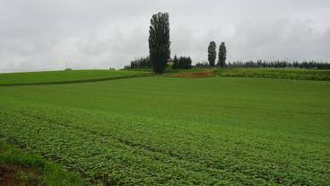 施設からの眺望 / 18
