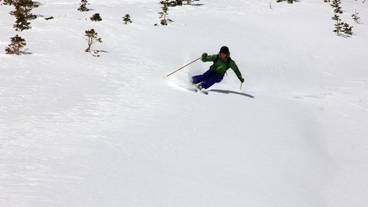 スノー スポーツとスキー / 5