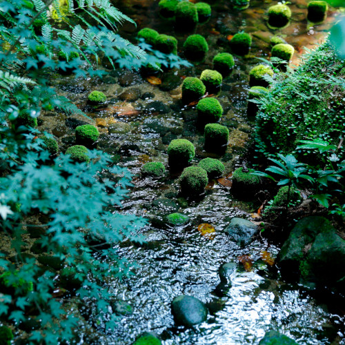 054_Room_Garden B