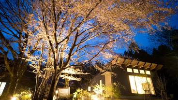 メイン イメージ / 1