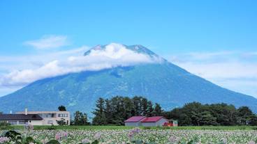 マウンテン ビュー / 7