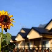 屋久島 コテージ森のフェアリー（鹿児島県 コテージ・ロッジ・一棟貸） / 3