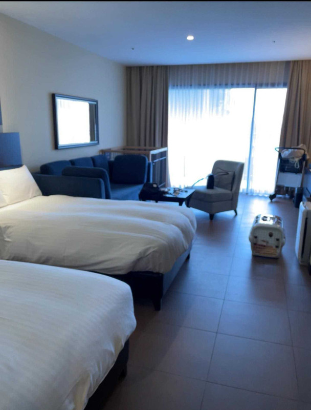 犬・猫宿泊OKの「ペット対応ルーム」は、約42～55㎡の洋室タイプ。「バスルームも広くてとても綺麗でした」とのこと。ゆとりのあるお部屋で、ペットも飼い主ものびのびと過ごせそう / 1