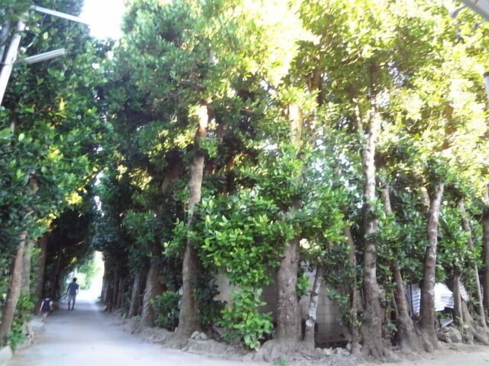 施設からの眺望