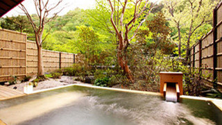 庭園露天風呂付特別室（本間15畳+茶室次の間4.5畳） [和室] [禁煙]