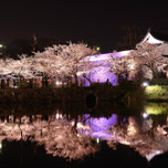 今年の花見は遠出して九州へ♡桜の名所とおすすめのホテル・宿21選