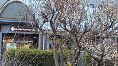 亀の井ホテル 青梅