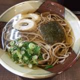 砂丘そば（サキュウソバ）