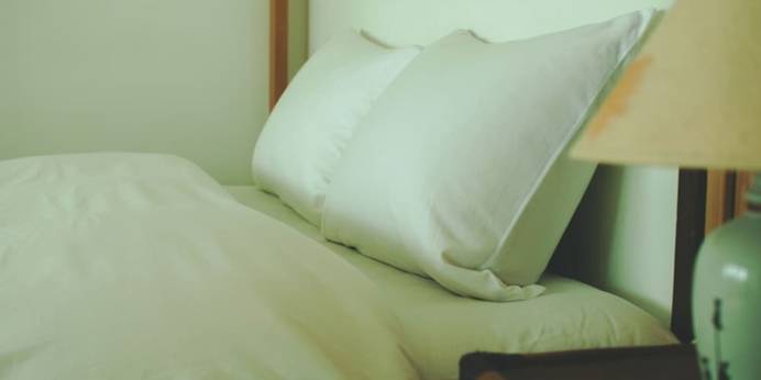 Hostel Mt.Fuji（山梨県 ゲストハウス・ホステル・ドミトリー） / 1