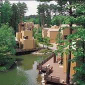 フォレストヴィレッジ（山梨県 コテージ・ロッジ・一棟貸） / 2