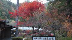 滝見温泉 滝見の家