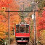 【関東】紅葉を愛でるひとり旅へ。車窓からのんびり紅葉狩りができる電車6選